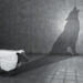 Un'immagine che mostra una pecora un po' stilizzata che proietta su un muro l'ombra di un lupo che ulula