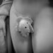 Close-up of a classic naked female statue with her pubis covered with a leaf.