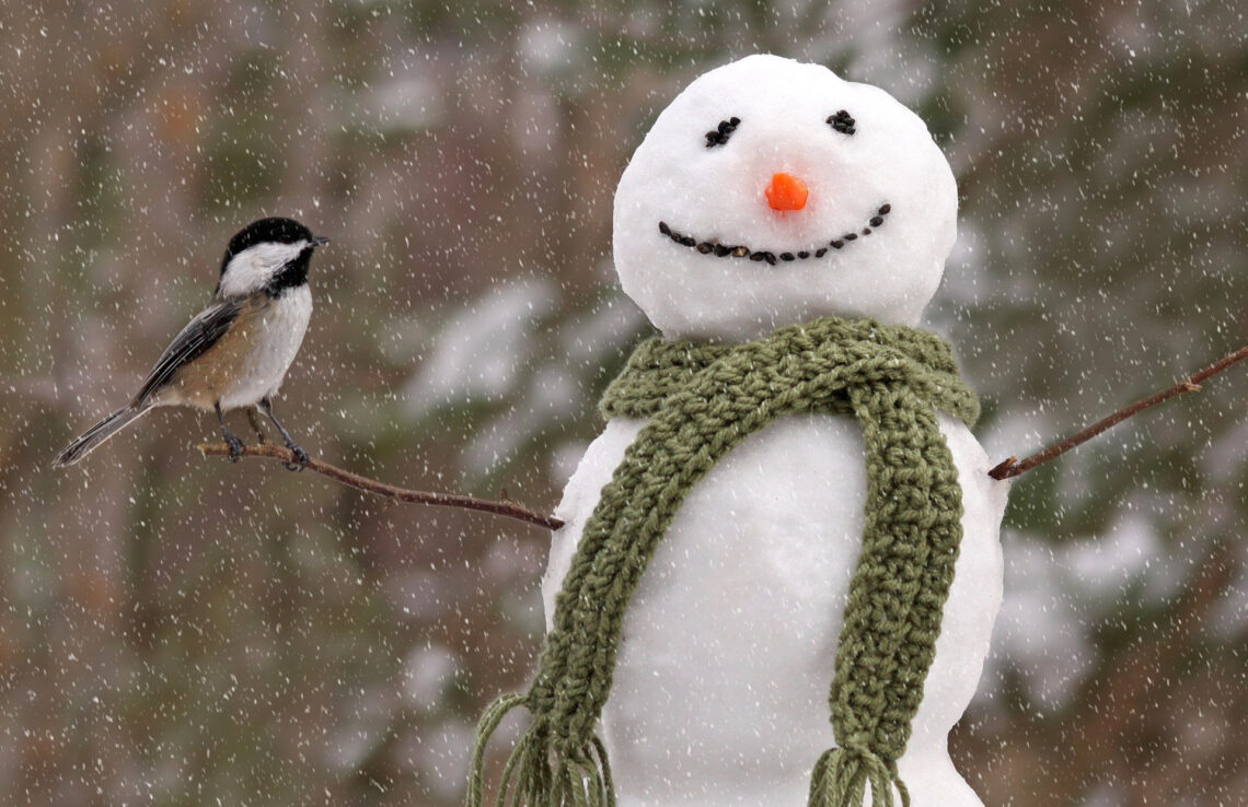 Fotografia che ritrae un pupazzo di neve con una cinciallegra poggiata sulla "mano" del "braccio" destro, in realtà un rametto d'albero.