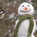 Fotografia che ritrae un pupazzo di neve con una cinciallegra poggiata sulla "mano" del "braccio" destro, in realtà un rametto d'albero.