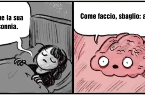 Un meme che usa come template la nota striscia con il cervello che parla alla ragazza che tenta di dormire. Nella prima vignetta il cervello, rosa, con occhi spalancati, guardando verso il basso e fluttuando in uno spazio di un rosa più chiaro, dice: "Il sonno della ragione genera mostri."; nella seconda la ragazza, a letto, sotto le coperte, nella penombra, con gli occhi chiusi, un po' scocciata risponde: "Anche la sua insonnia."; nella terza, graficamente identica alla prima tranne per l'espressione del cervello, ora un po' sconvolta, dice: "Come faccio, sbaglio: addio."; la quarta è graficamente identica alla seconda, tranne per il fatto che ora anche la ragazza ha gli occhi spalancati in un'espressione un po' sconvolta.
