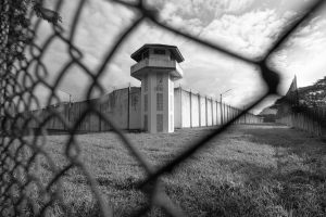 Una foto in bianco e nero che ritrae, attraverso una rete a maglie fuori fuoco, le alte mura perimetrali di cemento bianco di un carcere, sovrastate da filo spinato, con una torre di guardia al centro. Tra la rete e le mura c'è un passaggio ampio di erba. Sullo sfondo, dietro le mura, c'è un cielo nuvoloso.
