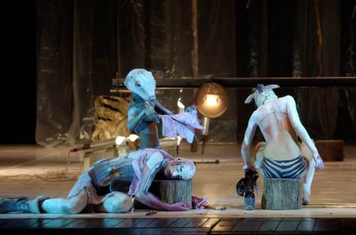 Foto di scena dallo spettacolo teatrale “Paesaggio con fratello rotto”, ispirato alle poesie di Mariangela Gualtieri, per la regia di Cesare Ronconi, prodotto da Teatro Valdoca nel 2005.