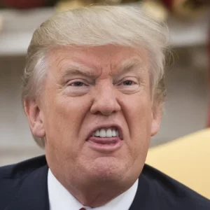 Una foto a colori, in formato orizzontale: un primo piano di Donald Trump con un'espressione di dileggio aggressivo sul volto.