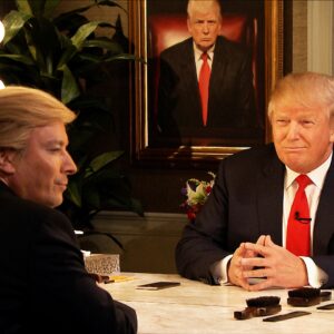 Una foto a colori, in formato orizzontale, che ritrae Donald Trump davanti a uno specchio da camerino. Dello specchio però c'è solo la cornice, e l'uomo dall'altra parte è un intervistatore acconciato e truccato per somigliargli. E' una foto di scena di un'intervista a Trump andata realmente in onda.