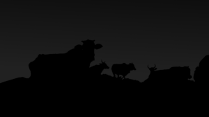 Un’illustrazione che raffigura delle silhouette di mucche completamente nere davanti a un cielo scurissimo, quasi nero anch’esso.