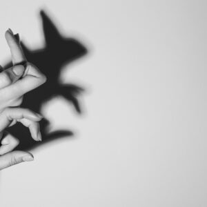 Una foto in bianco e nero che ritrae un muro su cui due mani di donna sovrapposte l’una all’altra, che spuntano dal bordo sinistro con le dita in una posizione molto particolare, proiettano un’ombra che appare come il profilo di un coniglio in piedi sulle zampe posteriori, con le zampe anteriori che sporgono in avanti e un paio di lunghe orecchie sopra la testolina.